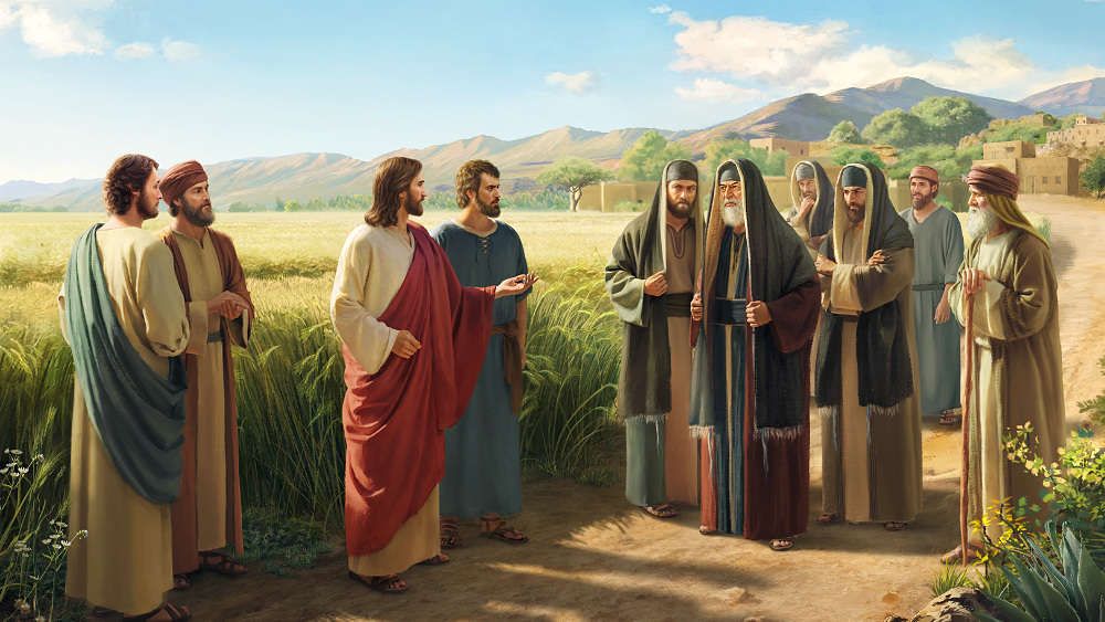 Why did the Lord Jesus curse the Pharisees? What exactly is the essence ...