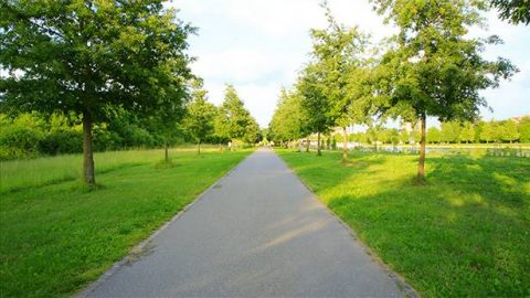 The Path to Purification