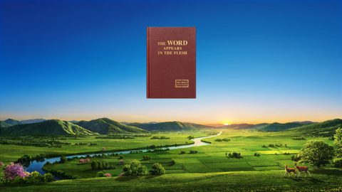 Exactly what work will the Lord Jesus do when He returns in the last days?