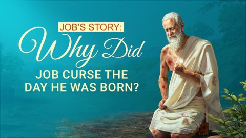 Job’s Story