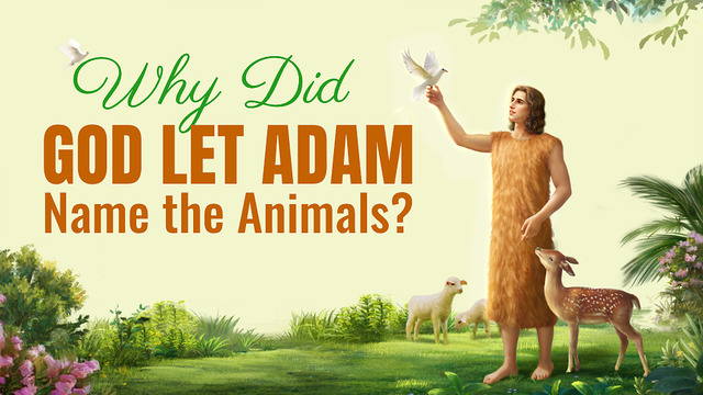 Why Did God Let Adam Name the Animals