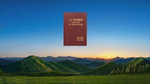 How exactly does God perform His judgment work to save and cleanse mankind in the last days?