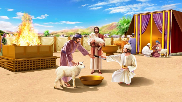 The Church of Almighty God,Eastern Lightning,sheep,