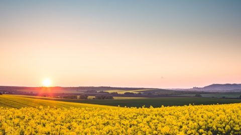 Christian testimony, Christian faith,