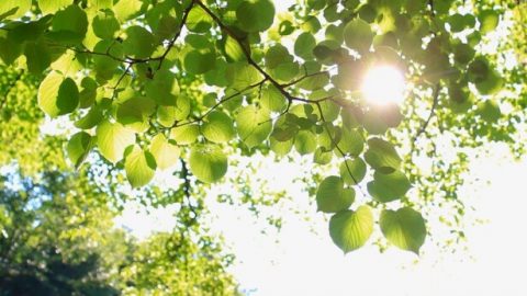 Coming Back From the Brink of Death and Praising God’s Might