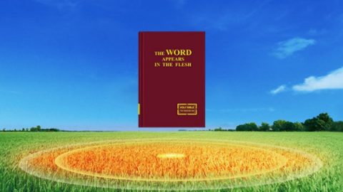 God’s work of judgment in the last days