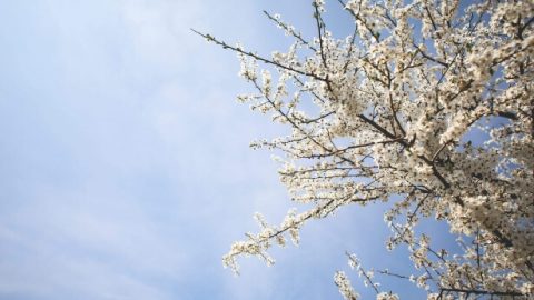 A Clean Break With the Past