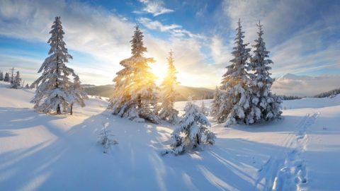 Breaking Through the Fog to See the Light