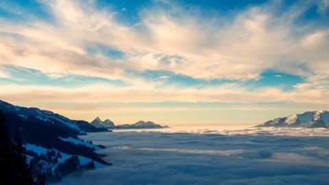 What wisdom and omnipotence of God is revealed in His using the service of the CCP government and the religious world? (2)